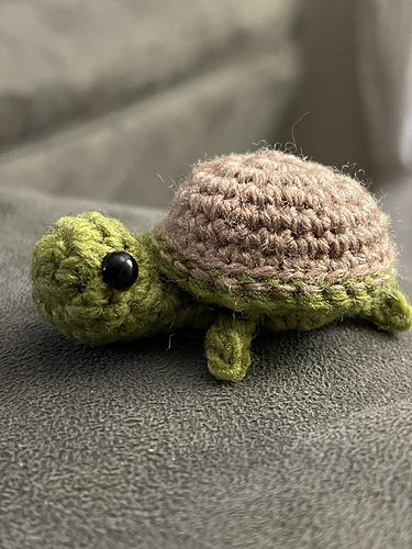 Mini Sea Turtle photo 4