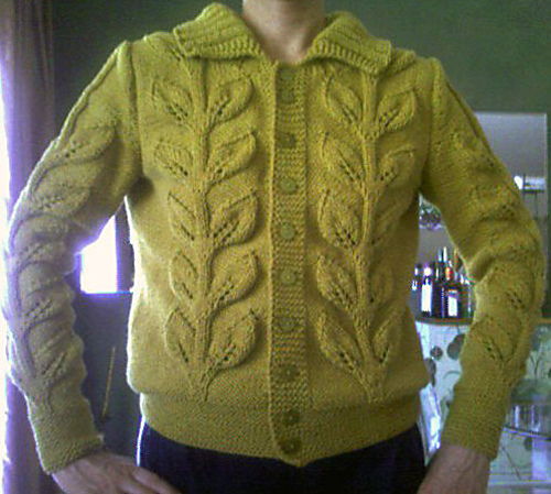Ravelry: Leaf Jacket pattern by Debbie Bliss