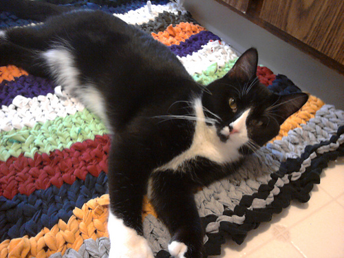 Tee-Shirt Rug photo 4