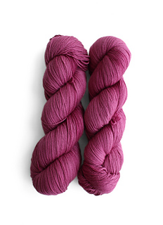 Purple Finch