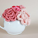 Roses photo 3