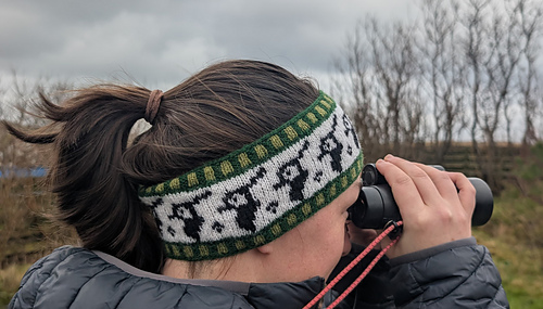 Peerie Peewit Headband