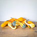 Bicolour Pear Gourd pattern 
