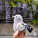 Chubby Baby Pigeon pattern