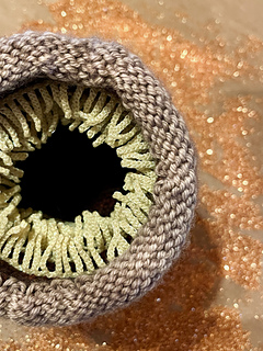 Close up worm shot