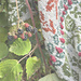 Woodland Storey KAL pattern 