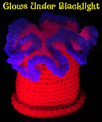Tentacle Sea Anemone photo 2