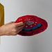 Frisbee Flyer photo 3