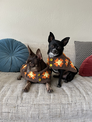 Retro Granny Square Dog Jacket