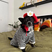 Pet Beret pattern