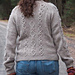 Design I - Children's Sweaters pattern 