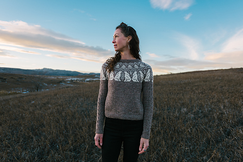 Folk Rabbit Genser - Briana Arlene