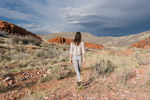 Desert Days Genser - Briana Arlene