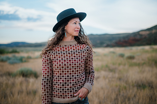 Quilt Dreams Pullover