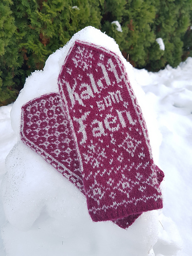 Kaldt som faen - Jeanett G. Fredriksen, Heidi S. Slettemo, Renathe E. Rudberg