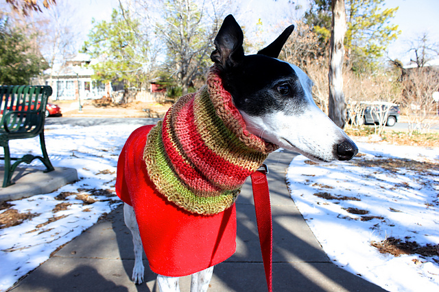 dog cowl knit pattern