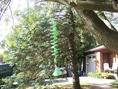 Windspinner photo 7
