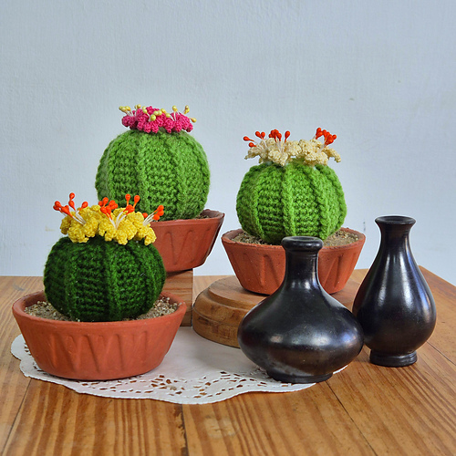 Ball cactus with flower