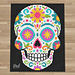 C2C Sugar Skull Blanket pattern 