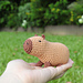 Capybara pattern 