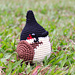 Red-whiskered bulbul pattern 