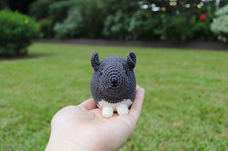 The grey with white belly version.