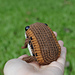 Brown Wood Frog pattern 