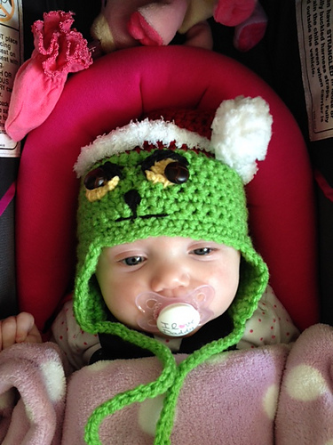 681 Grinchy Baby Photo Prop Set photo 2