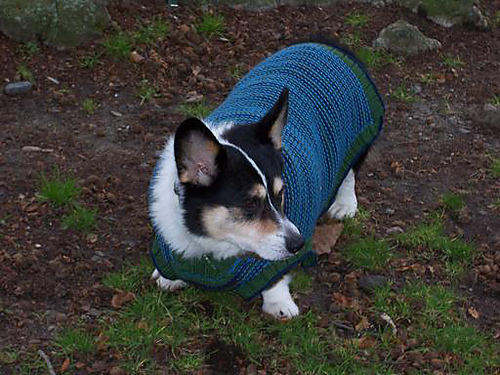 Doggy's Got Style Sweater photo 3