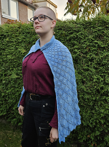 Ravenwood Dragon Cloak - bycarlitaz