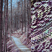 Cairngorms Shawl pattern