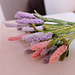 Lavender photo 3