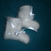 Mom's Angora Booties pattern 