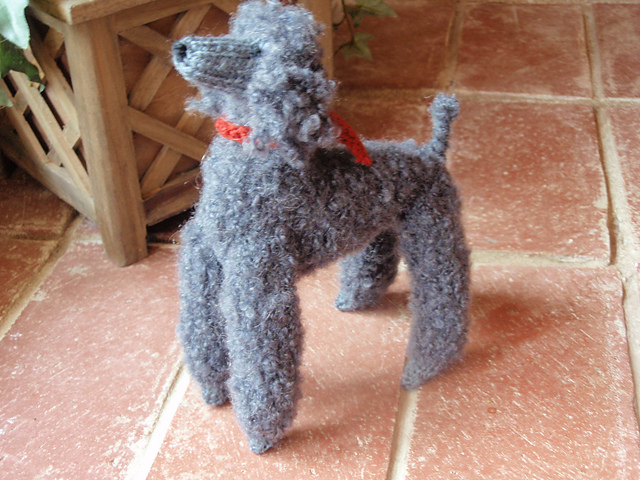 poodle knitting pattern free