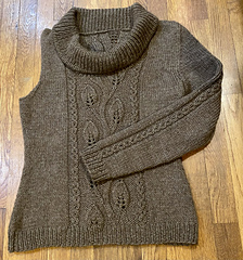 Sweater with one sleeve