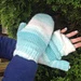 Double Mitt Twist Flatbed pattern 