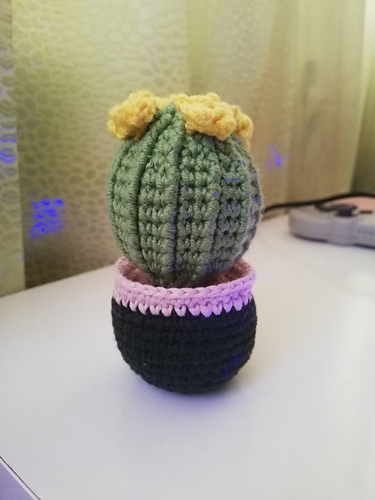 Barrelkaktus - byceceero