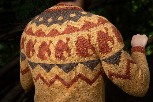 Tomnooki - Chase Harpole