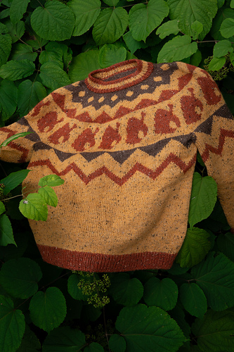 Tomnooki - Chase Harpole