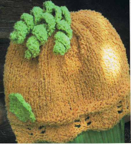 Top down color zucca photo 2