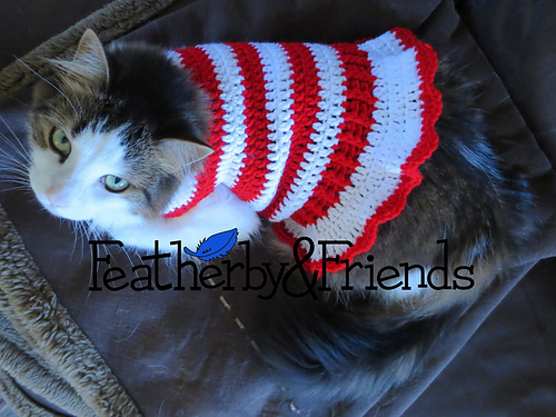 I made my cat a dress for her 1st birthday!! : r/crochet