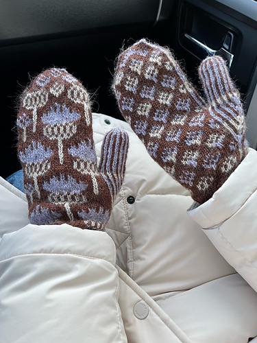 Vottene Hvitbladtistel / Melancholy Thistle - bycimmerdownnow