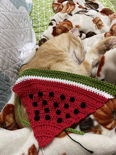 Watermelon Bandana photo 4