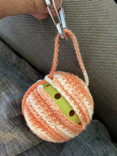 Pickleball Cozy
