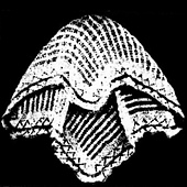 Original illustration (scan from TROVE, slightly enhanced