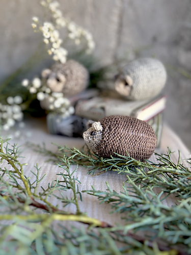 Little Knit Hedgehogs photo 7