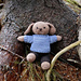 Uszka Puppy pattern
