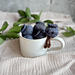 Little Knit Blueberries pattern 