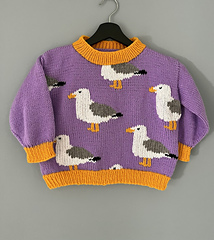 Age 6 (116cm). Duplicate stitch finish.