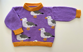 Age 6 (116cm). Duplicate stitch finish.